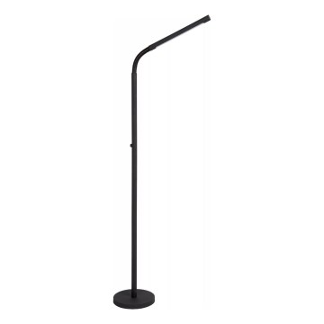 Lucide 36712/04/30 - LED Dimbaar aanraken Staande lamp GILLY LED/6W/230V 4000 mAh zwart