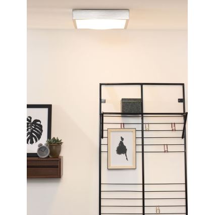 Lucide 79167/24/12 - LED Plafondverlichting CASPER II LED/24W/230V