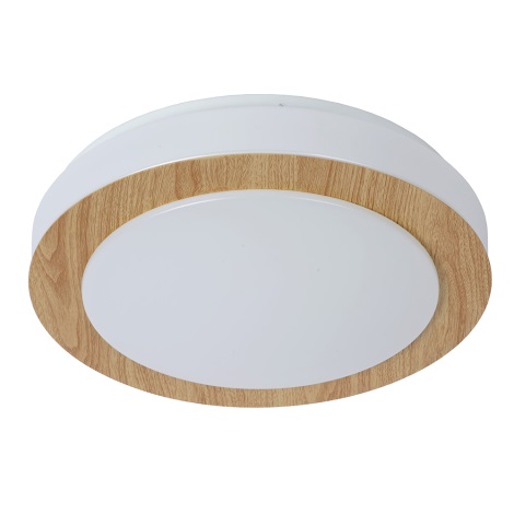 Lucide 79179/12/72 - LED Dimbaar ceiling badkamer lamp DIMY LED/12W/230V