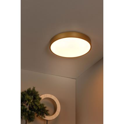 Lucide 79185/40/02 - Dimbare LED plafondlamp UNAR LED/24W/230V diameter 39,5 cm goud