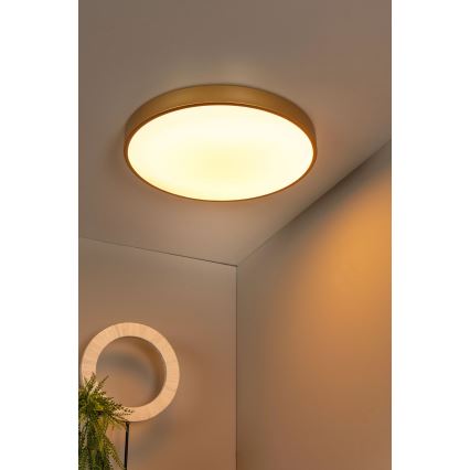 Lucide 79185/50/02 - Dimbare LED plafondlamp UNAR LED/36W/230V diameter 49,5 cm goud