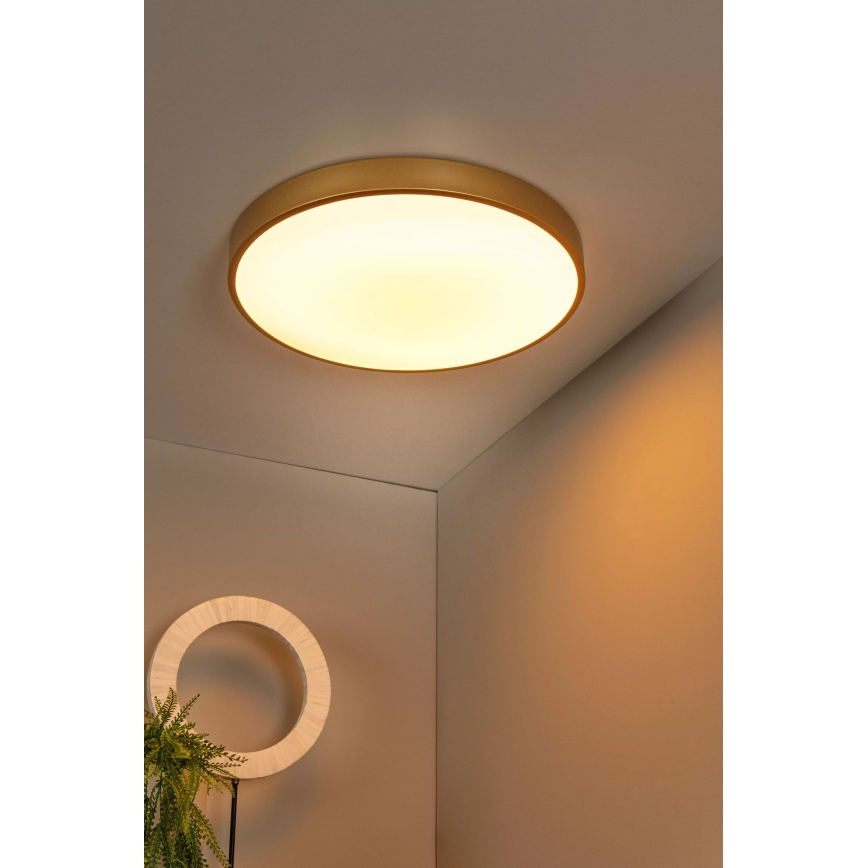 Lucide 79185/50/02 - Dimbare LED plafondlamp UNAR LED/36W/230V diameter 49,5 cm goud
