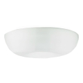 Luxera 68009 - Vervangingsglas ULTIMA E27