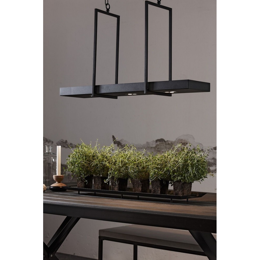 Markslöjd 105780 - LED dimbare kroonluchter aan een ketting TRAY 3xLED/3W/230V zwart