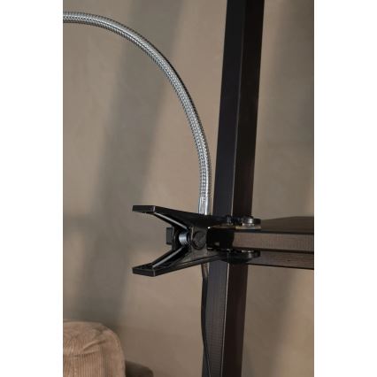 Markslöjd 106092 - LED Tafel Lamp met een klem TULIP LED/3W/230V zwart