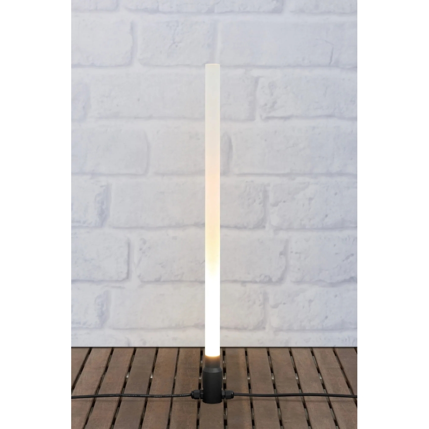 Markslöjd 107719 - LED buitenlamp GARDEN24 LED/3W/24V 66 cm IP44 zwart/helder