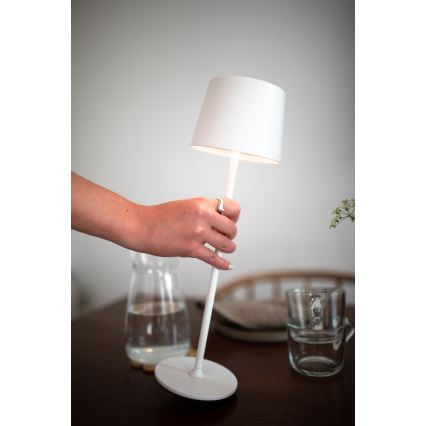 Markslöjd 108654 - LED Dimbaar rechargeable lamp FIORE LED/2W/5V IP44 38 cm wit