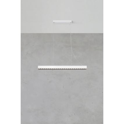 Markslöjd 108892 - PLANO dimbare LED-hanglamp met kabel LED/38W/230V wit