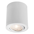 Markslöjd 109020 - Dimbare LED-spot DIRETTO LED/5W/230V CRI 90 wit
