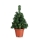 Markslöjd 703970 - Kerstboom MAGGI LED/0,8W/3xAA groen 50cm