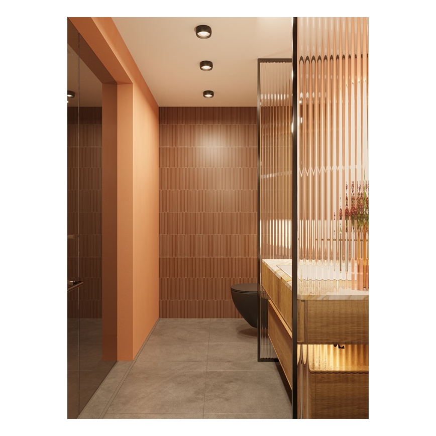 MAXLIGHT C0204 - LED Badkamer plafondlamp KODAK LED/8W/230V diameter 10,8 cm IP44 zwart