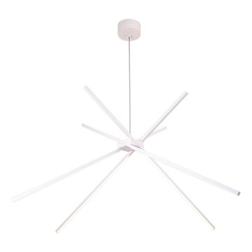 MAXLIGHT P0270 - LED Hanglamp aan een koord SPIN LED/33W/230V wit