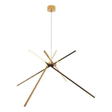 MAXLIGHT P0457 - LED Hanglamp aan een koord SPIN LED/33W/230V goud