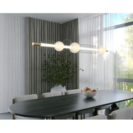 MAXLIGHT P0593 - LED Hanglamp aan een koord BORA LED/29W/230V wit/zwart