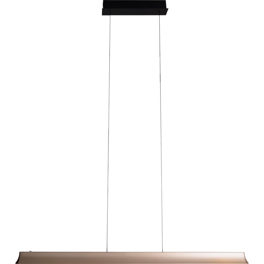 MAXLIGHT P0594 - Dimbare LED hanglamp aan een koord JO-JO LED/38W/230V 2700/4500/5500K messing