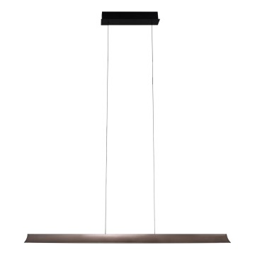 MAXLIGHT P0595 - LED dimbare hanglamp aan kabel JO-JO LED/38W/230V 2700/4500/5500K antraciet