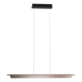 MAXLIGHT P0597 - LED dimbare hanglamp aan kabel JO-JO LED/40W/230V 2700/4500/5500K antraciet