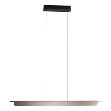 MAXLIGHT P0597 - LED dimbare hanglamp aan kabel JO-JO LED/40W/230V 2700/4500/5500K antraciet