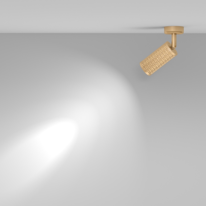 Maytoni C034CL-01G - Spotlamp FOCUS 1xGU10/10W/230V goudkleurig