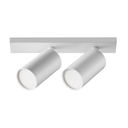 Maytoni C051CL-U-2W - FOCUS spotlamp 2xGU10/10W/230V wit