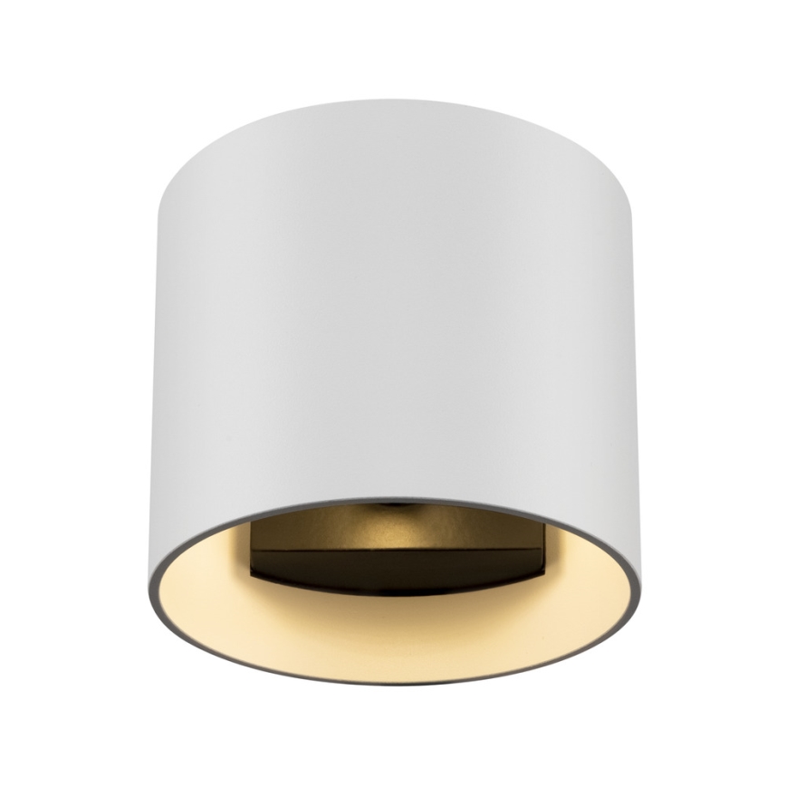 Maytoni C066WL-01W - Wandlamp ROND 1xG9/50W/230V wit
