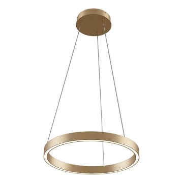Maytoni MOD058PL-L22BS3K - LED Hanglamp aan een koord RIM LED/25W/230V 3000K diameter 40 cm goud
