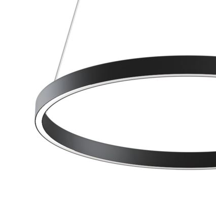 Maytoni MOD058PL-L32B3K - LED Hanglamp aan een koord RIM LED/37W/230V 3000K diameter 60 cm zwart