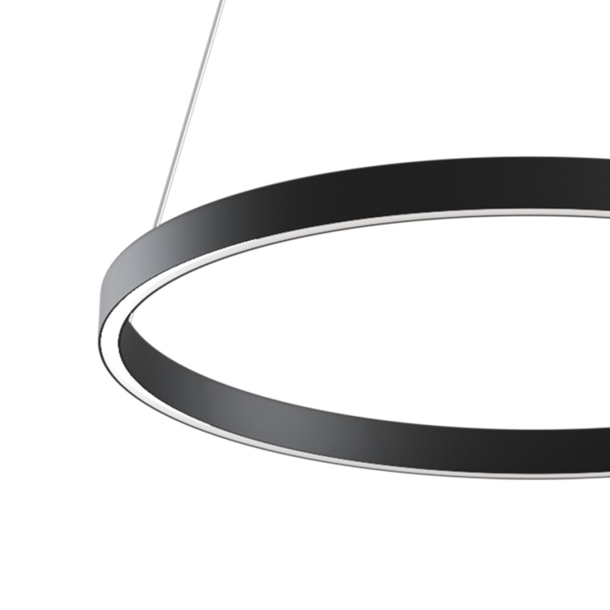 Maytoni MOD058PL-L32B3K - LED Hanglamp aan een koord RIM LED/37W/230V 3000K diameter 60 cm zwart