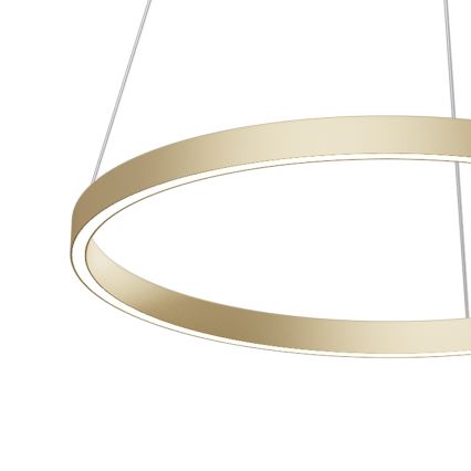 Maytoni MOD058PL-L32BS4K - LED Hanglamp aan een koord RIM LED/37W/230V 4000K diameter 60 cm goud