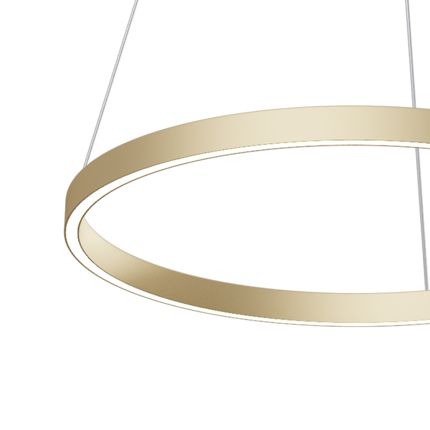 Maytoni MOD058PL-L32BS4K - LED Hanglamp aan een koord RIM LED/37W/230V 4000K diameter 60 cm goud