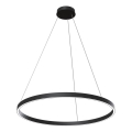 Maytoni MOD058PL-L42B4K - LED Hanglamp aan een koord RIM LED/51W/230V 4000K diameter 80 cm zwart