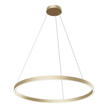 Maytoni MOD058PL-L42BS4K - LED Hanglamp aan een koord RIM LED/51W/230V 4000K diameter 80 cm goud