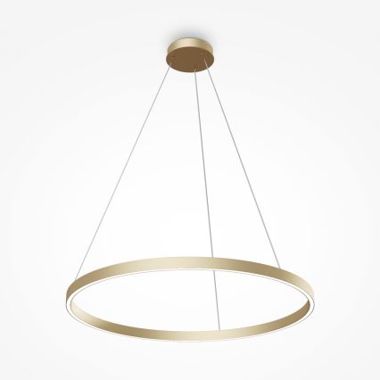 Maytoni MOD058PL-L42BS4K - LED Hanglamp aan een koord RIM LED/51W/230V 4000K diameter 80 cm goud