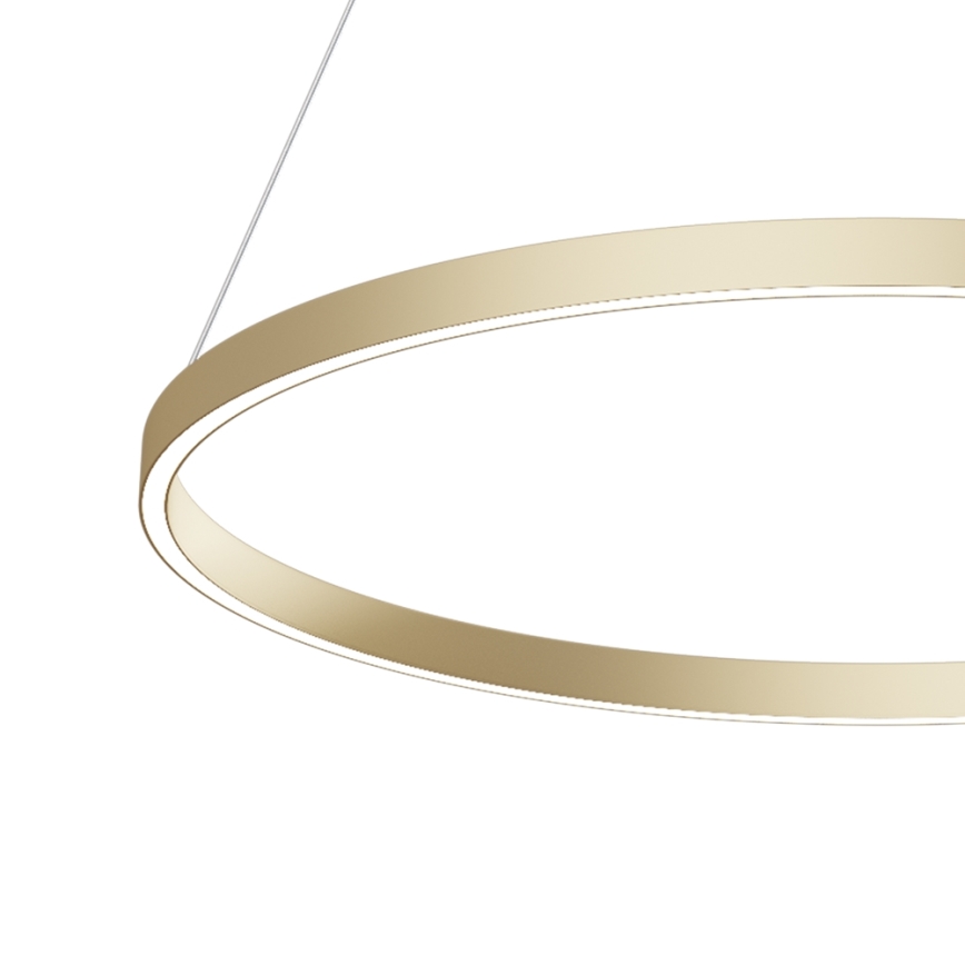 Maytoni MOD058PL-L42BS4K - LED Hanglamp aan een koord RIM LED/51W/230V 4000K diameter 80 cm goud