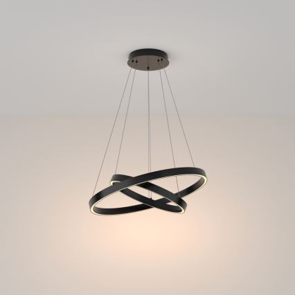 Maytoni MOD058PL-L55B3K - LED Hanglamp aan een koord RIM LED/61W/230V 3000K diameter 60 cm zwart