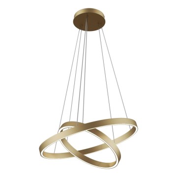 Maytoni MOD058PL-L55BS3K - LED Hanglamp aan een koord RIM LED/61W/230V 3000K diameter 60 cm goud