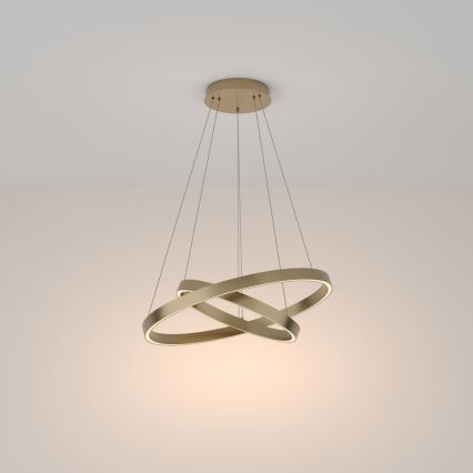 Maytoni MOD058PL-L55BS3K - LED Hanglamp aan een koord RIM LED/61W/230V 3000K diameter 60 cm goud