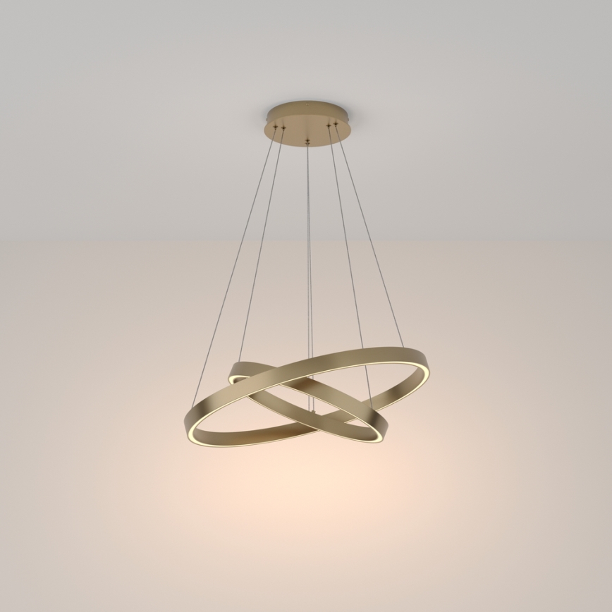 Maytoni MOD058PL-L55BS3K - LED Hanglamp aan een koord RIM LED/61W/230V 3000K diameter 60 cm goud