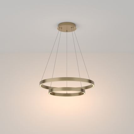 Maytoni MOD058PL-L55BS3K - LED Hanglamp aan een koord RIM LED/61W/230V 3000K diameter 60 cm goud
