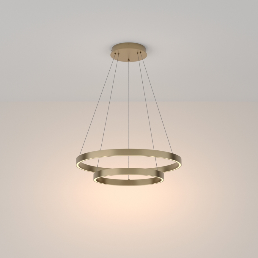 Maytoni MOD058PL-L55BS3K - LED Hanglamp aan een koord RIM LED/61W/230V 3000K diameter 60 cm goud