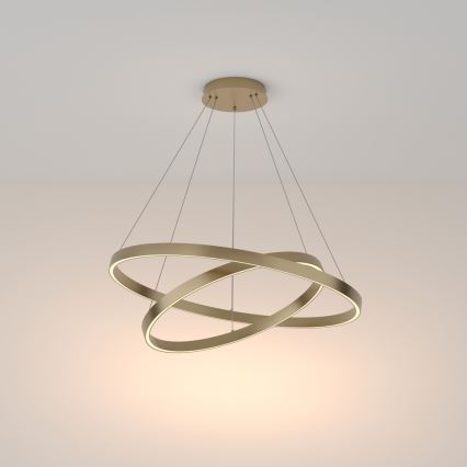 Maytoni MOD058PL-L74BS3K - LED Hanglamp aan een koord RIM LED/88W/230V 3000K diameter 80 cm goud