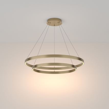 Maytoni MOD058PL-L74BS3K - LED Hanglamp aan een koord RIM LED/88W/230V 3000K diameter 80 cm goud