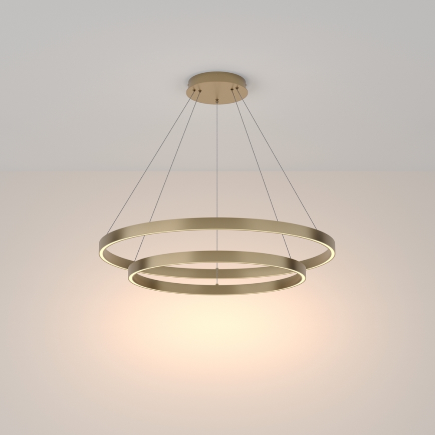 Maytoni MOD058PL-L74BS3K - LED Hanglamp aan een koord RIM LED/88W/230V 3000K diameter 80 cm goud