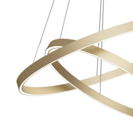 Maytoni MOD058PL-L74BS3K - LED Hanglamp aan een koord RIM LED/88W/230V 3000K diameter 80 cm goud