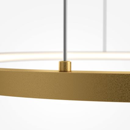 Maytoni MOD072PL-L36BSK1 - LED Hanglamp aan een koord GLINT LED/36W/230V goud