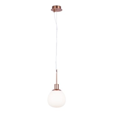 Maytoni MOD221-PL-01-G - Hanglamp aan een koord ERICH 1xE14/40W/230V koper