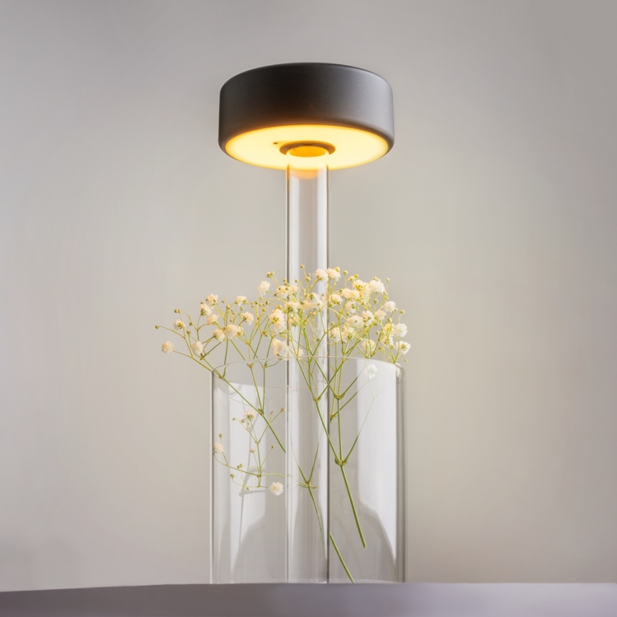 Maytoni MOD229TL-L3B3K1 - LED Dimbaar oplaadbaar draagbaar tafellamp LED/3W/5V 2200-4000K zwart/doorzichtig