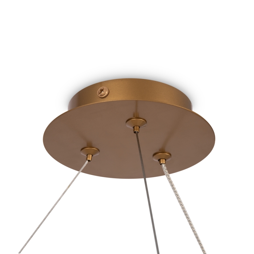 Maytoni MOD317PL-06G - Hanglamp aan een koord BALANCE 6xG9/40W/230V koper
