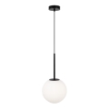 Maytoni MOD321PL-01B1 - Hanglamp aan een koord BASIC 1xE14/40W/230V zwart