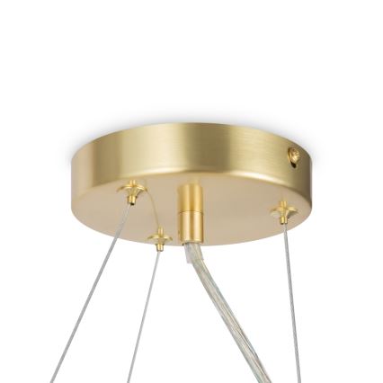 Maytoni MOD545PL-11BS - Hanglamp aan een koord DALLAS 11xG9/28W/230V goud